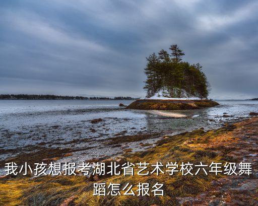 我小孩想报考湖北省艺术学校六年级舞蹈怎么报名
