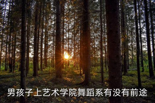 男生学舞蹈专业好吗现在，男孩子上艺术学院舞蹈系有没有前途