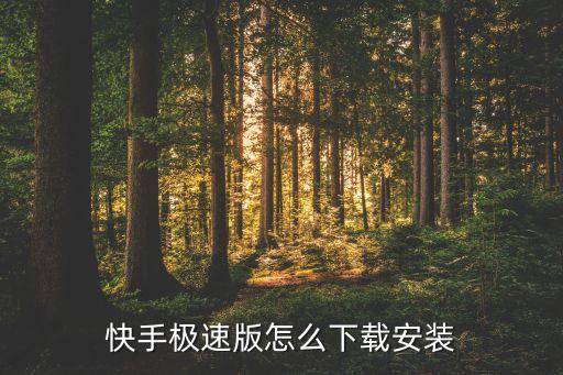 快手极速版怎么下载安装