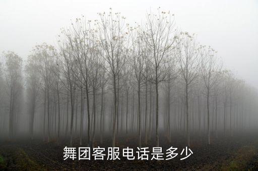 舞团客服电话是多少