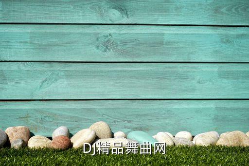 DJ精品舞曲网