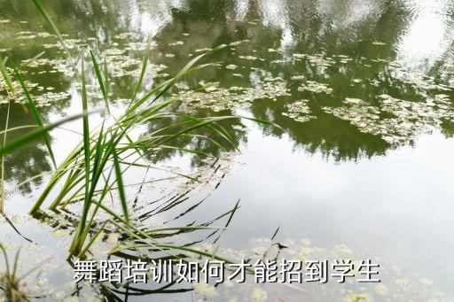 舞蹈培训中心招生，关于舞蹈培训中心有什么招生方法或推广渠道