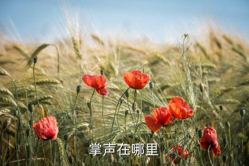 糖豆广场舞掌声在哪里慢动作，掌声在哪里