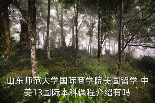 山东师范大学国际商学院美国留学 中美13国际本科课程介绍有吗