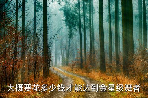 大概要花多少钱才能达到金星级舞者