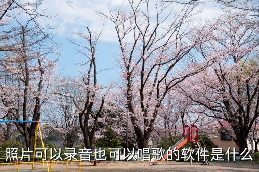 照片可以录音也可以唱歌的软件是什么