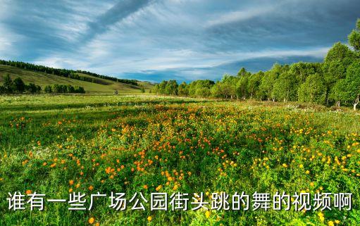谁有一些广场公园街头跳的舞的视频啊