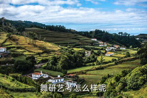 舞研艺考怎么样呢
