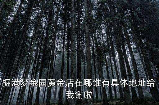 掘港梦金园黄金店在哪谁有具体地址给我谢啦