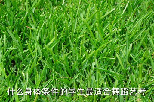 什么身体条件的学生最适合舞蹈艺考