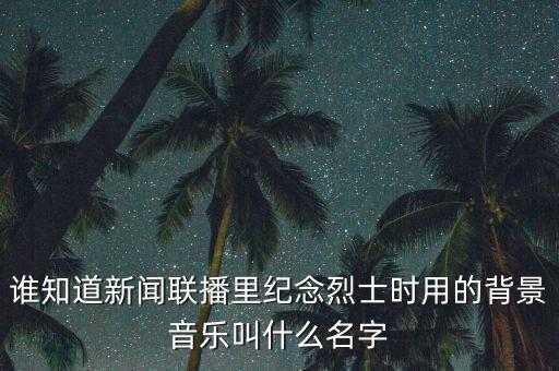 谁知道新闻联播里纪念烈士时用的背景音乐叫什么名字