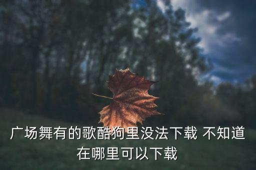 听雪广场舞一晃就老了音乐怎么下载，广场舞有的歌酷狗里没法下载 不知道在哪里可以下载