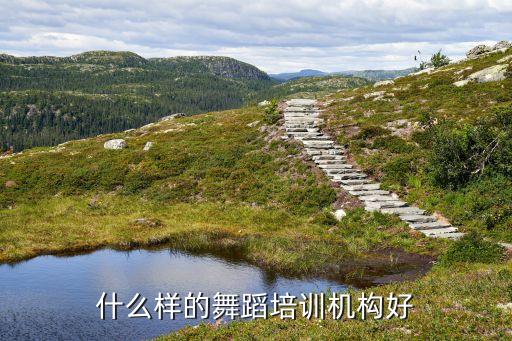 舞蹈学校培训哪家好，昆明哪家舞蹈培训比较好