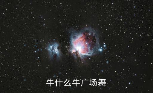 牛什么牛广场舞