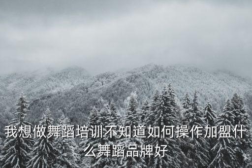 舞蹈加盟连锁，想开一家舞蹈连锁店不知道哪个连锁比较好