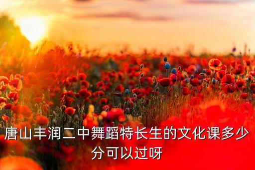 中考舞蹈特长生录取分数线，容桂高中收舞蹈特长生要多少分数线