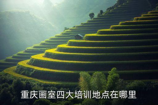 重庆画室四大培训地点在哪里