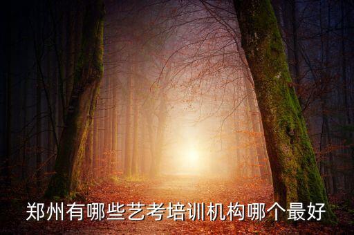 郑州艺考培训机构排行榜前十，郑州有哪些艺考培训机构哪个最好