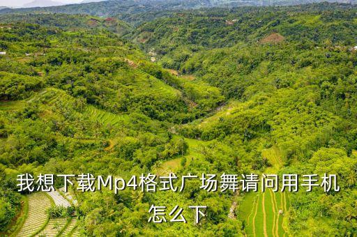 我想下载Mp4格式广场舞请问用手机怎么下