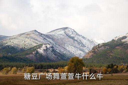 糖豆广场舞萱萱牛什么牛