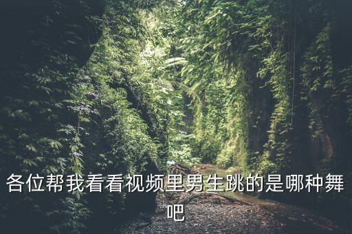 网上跳的是什么舞，有谁跳过网络舞吗刚听到这个舞种