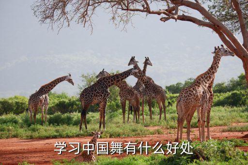 学习中国舞有什么好处