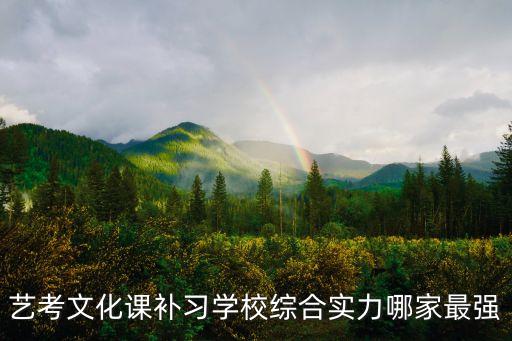 艺考文化课补习学校综合实力哪家最强