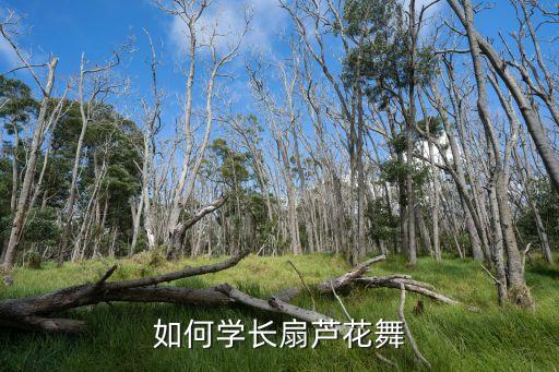 如何学长扇芦花舞