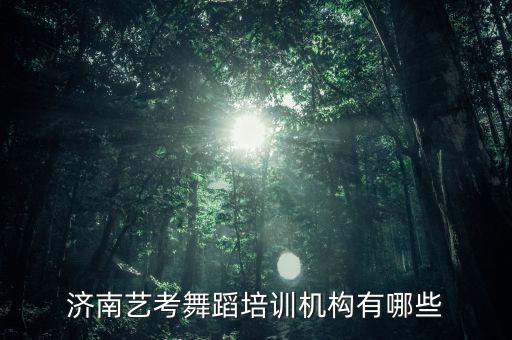 济南艺考舞蹈培训机构有哪些