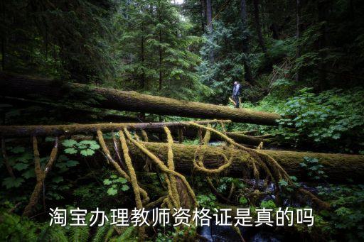 淘宝办理教师资格证是真的吗