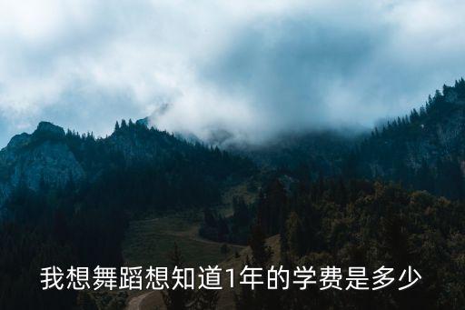我想舞蹈想知道1年的学费是多少