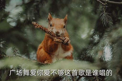 美丽华广场舞怎么爱都爱不够，怎么爱都不够