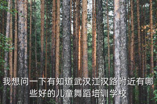 我想问一下有知道武汉江汉路附近有哪些好的儿童舞蹈培训学校
