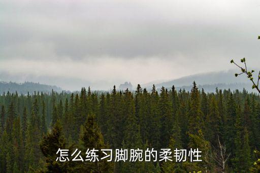 怎么练习脚腕的柔韧性