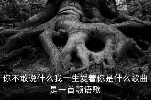 你不敢说什么我一生爱着你是什么歌曲是一首颚语歌