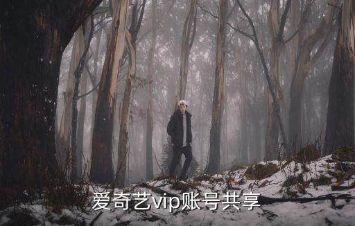 爱奇艺vip账号共享