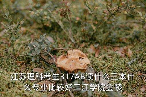 江苏理科考生317AB读什么三本什么专业比较好三江学院金陵
