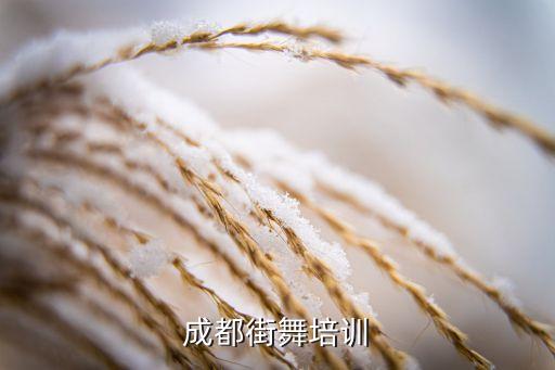 成都街舞培训