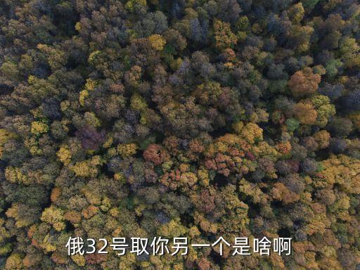俄32号取你另一个是啥啊