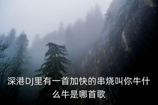 牛什么牛是什么歌曲啊，深港DJ里有一首加快的串烧叫你牛什么牛是哪首歌