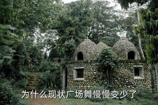 专业跳舞的为什么不跳广场舞，广场为什么不可以跳舞