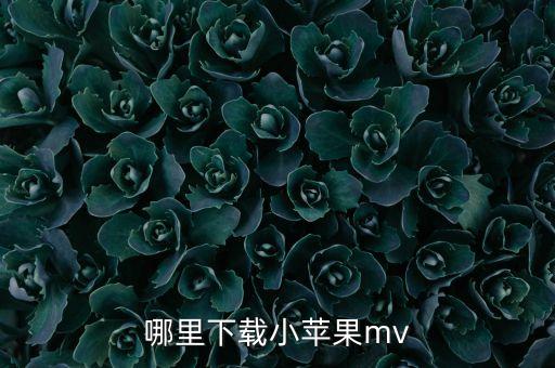 哪里下载小苹果mv