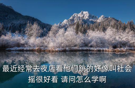 最近经常去夜店看他们跳的好像叫社会摇很好看 请问怎么学啊