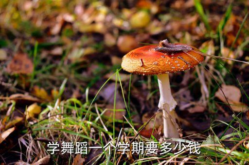 学舞蹈一个学期要多少钱