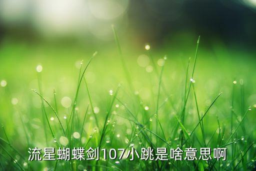 流星蝴蝶剑107小跳是啥意思啊