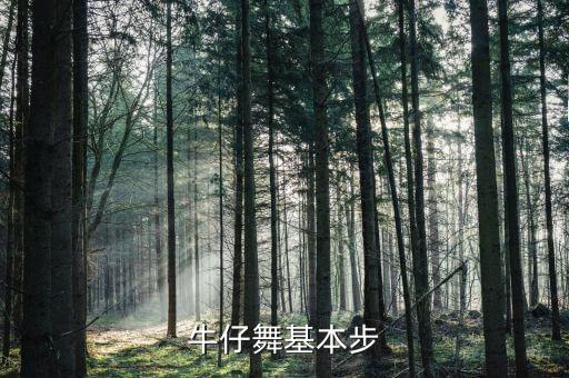 牛仔舞基本步