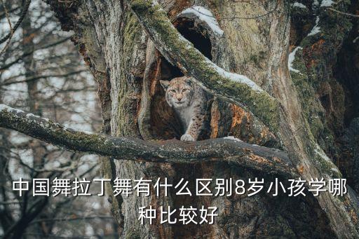 中国舞拉丁舞有什么区别8岁小孩学哪种比较好