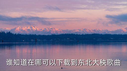 扭什么秧歌视频下载，就是简单的锵锵期锵期最好是mp3格式的帮忙提供下载地址