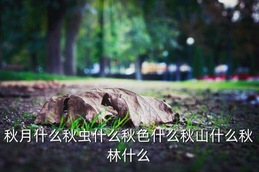 秋月什么秋虫什么秋色什么秋山什么秋林什么