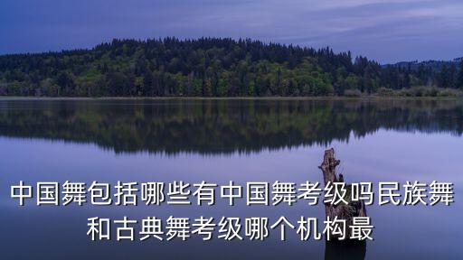 中国舞包括哪些有中国舞考级吗民族舞和古典舞考级哪个机构最